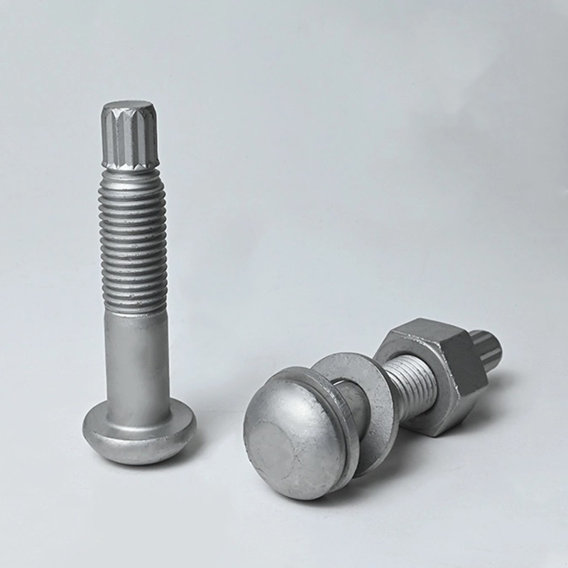 ASTM F2280 A490 Torque Shear Bolt Varmgalvaniseret